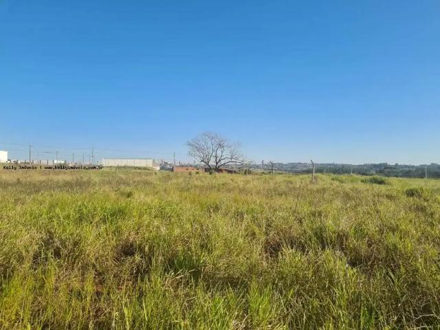Terreno / Lote para Venda em Presidente Prudente/SP Distrito Industrial