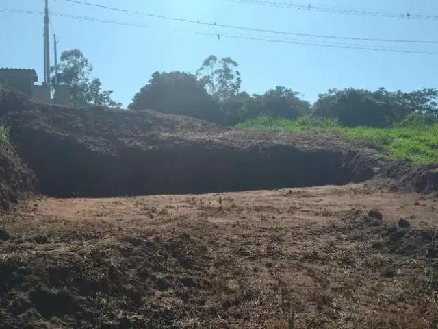 Terreno / Lote para Venda em Presidente Prudente/SP Jardim Novo Prudentino