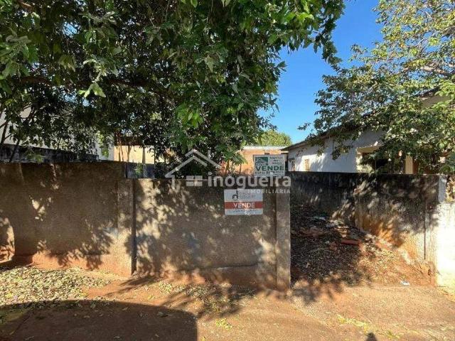Terreno / Lote para Venda em Presidente Prudente/SP Jardim Paulista