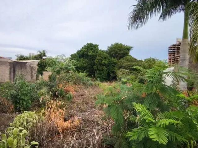Terreno / Lote para Venda em Presidente Prudente/SP Jardim Paulista