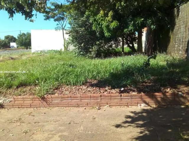 Terreno / Lote para Venda em Presidente Prudente/SP Jardim Prudentino