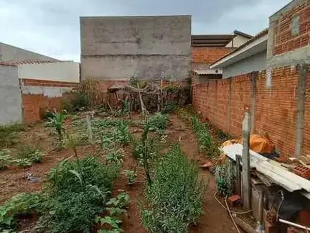 Terreno / Lote para Venda em Presidente Prudente/SP Jardim Prudentino