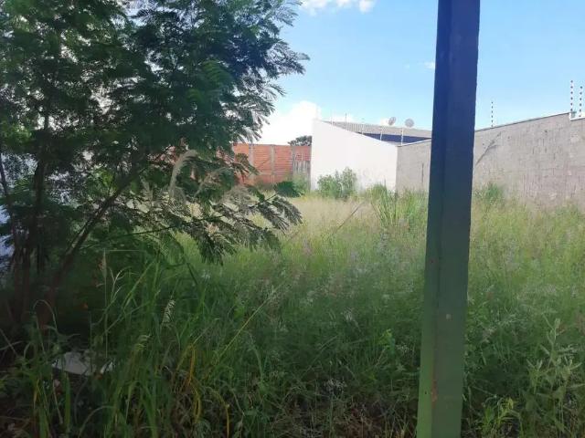 Terreno / Lote para Venda em Presidente Prudente/SP Jardim Prudentino