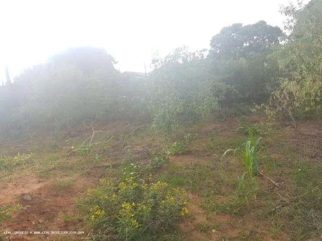 Terreno / Lote para Venda em Presidente Prudente/SP Jardim Prudentino
