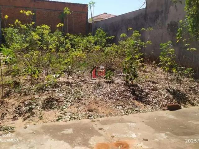 Terreno / Lote para Venda em Presidente Prudente/SP Jardim Prudentino