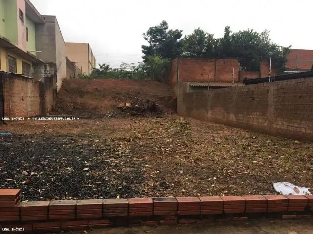 Terreno / Lote para Venda em Presidente Prudente/SP Jardim Prudentino