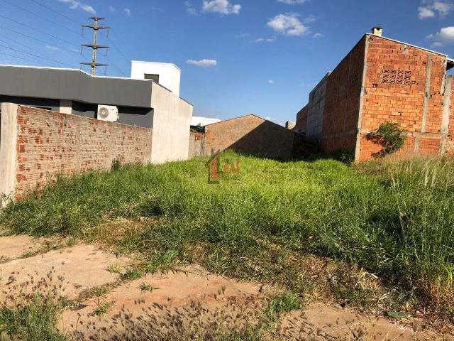 Terreno / Lote para Venda em Presidente Prudente/SP Jardim Prudentino