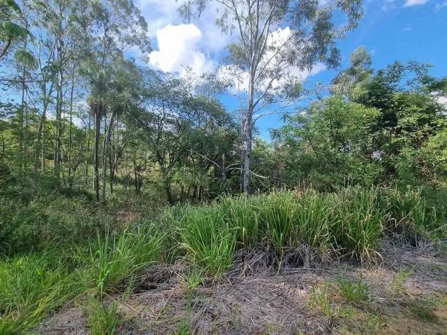 Terreno / Lote para Venda em Presidente Prudente/SP Jardim Rio 400
