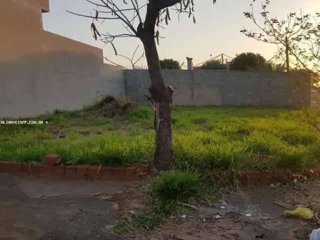 Terreno / Lote para Venda em Presidente Prudente/SP Jardim São Sebastião