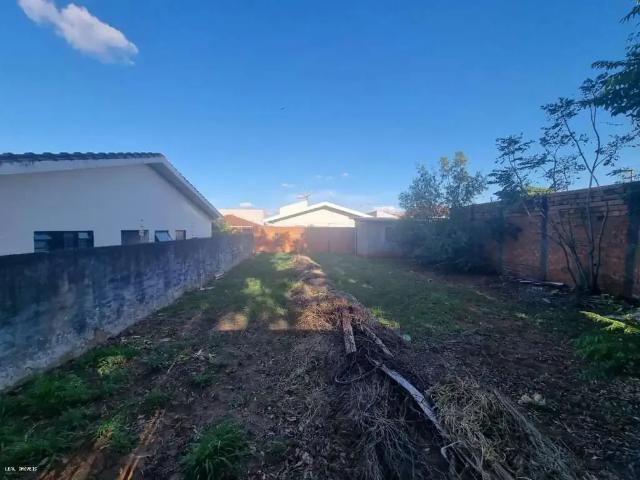 Terreno / Lote para Venda em Presidente Prudente/SP Parque Cedral