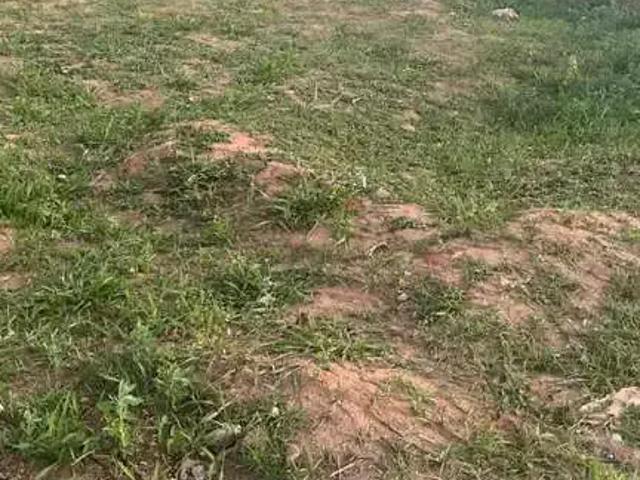 Terreno / Lote para Venda em Presidente Prudente/SP Residencial Bela Vista I
