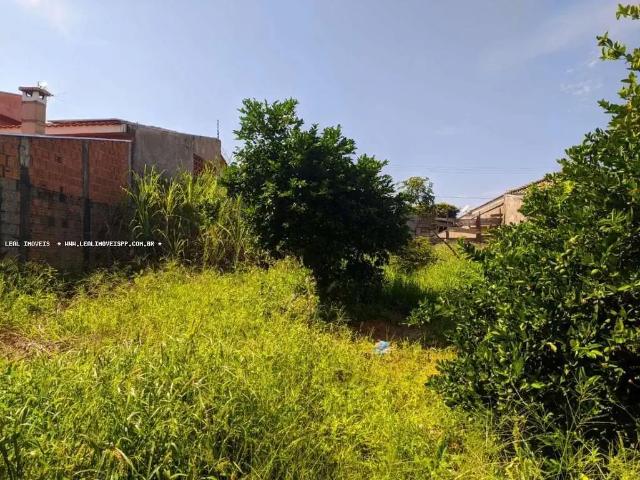 Terreno / Lote para Venda em Presidente Prudente/SP Residencial São Paulo