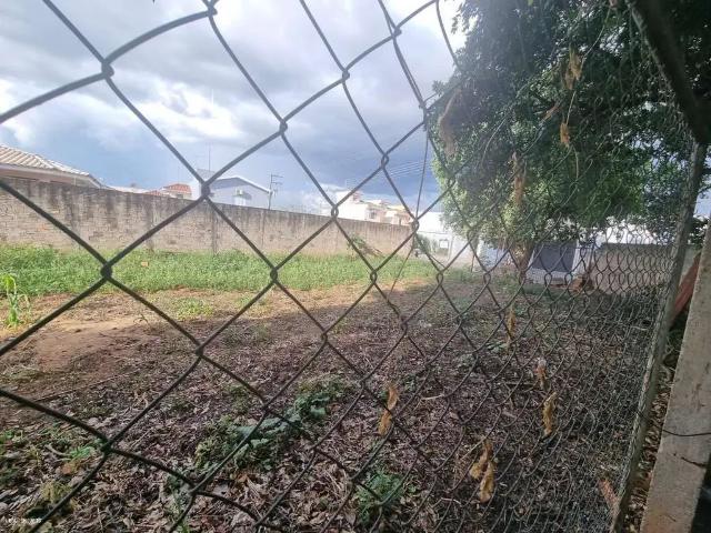Terreno / Lote para Venda em Presidente Prudente/SP Residencial Universitário