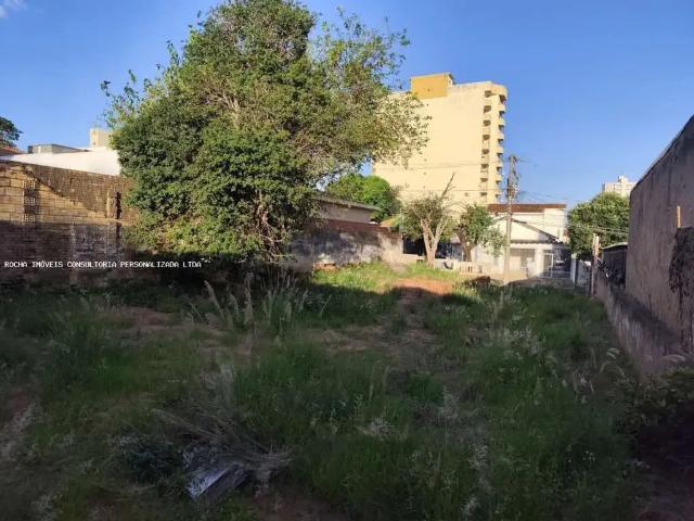 Terreno / Lote para Venda em Presidente Prudente/SP Vila Dubus