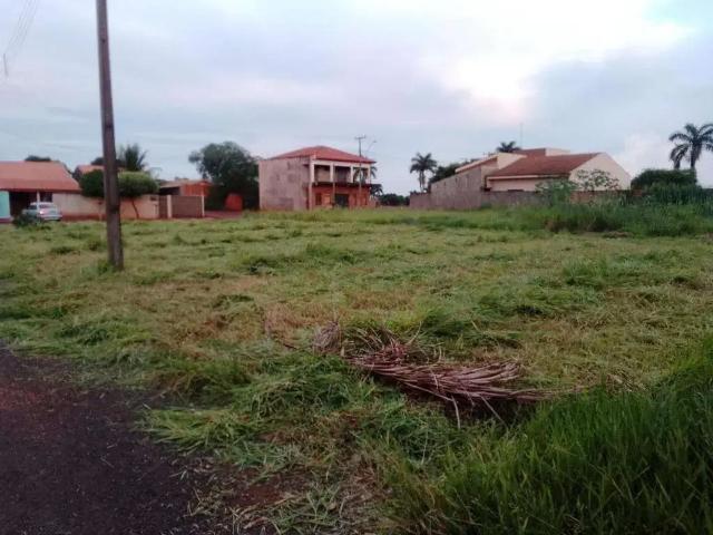 Terreno / Lote para Venda em Primeiro de Maio/PR Centro