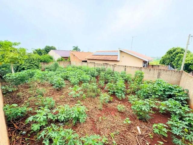 Terreno / Lote para Venda em Primeiro de Maio/PR Centro