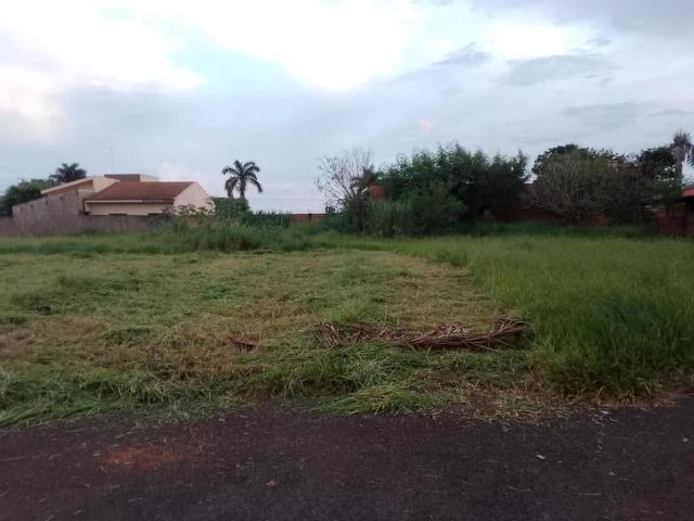 Terreno / Lote para Venda em Primeiro de Maio/PR Centro