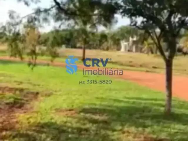 Terreno / Lote para Venda em Primeiro de Maio/PR Centro