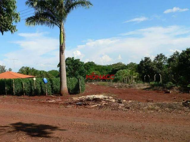 Terreno / Lote para Venda em Primeiro de Maio/PR Centro