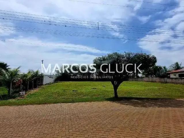 Terreno / Lote para Venda em Alvorada do Sul/PR Centro