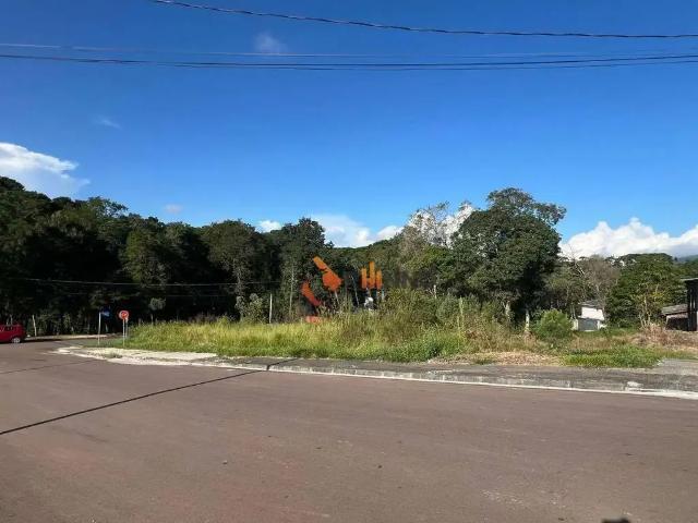 Terreno / Lote para Venda em Quatro Barras/PR Centro