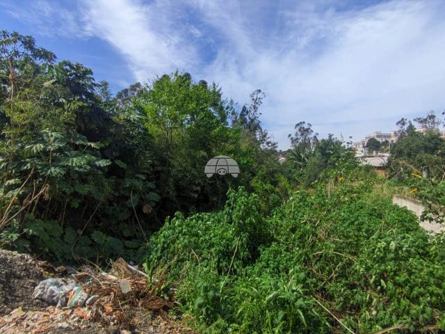 Terreno / Lote para Venda em Quatro Barras/PR Centro