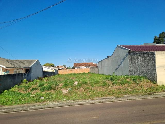 Terreno / Lote para Venda em Quatro Barras/PR Centro
