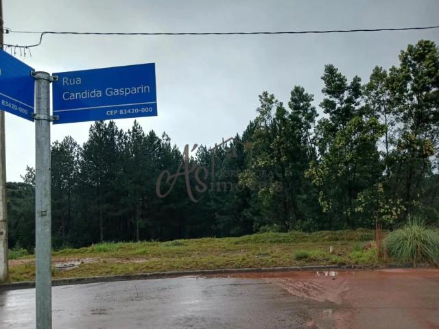 Terreno / Lote para Venda em Quatro Barras/PR Centro