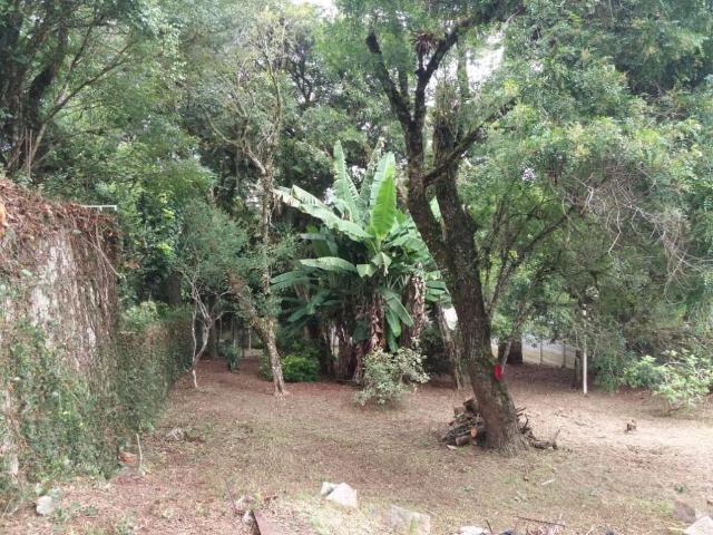 Terreno / Lote para Venda em Quatro Barras/PR Centro