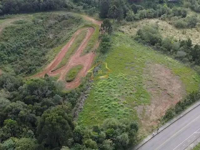 Terreno / Lote para Venda em Quatro Barras/PR Centro