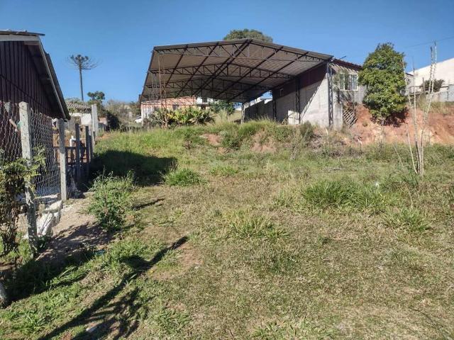 Terreno / Lote para Venda em Quatro Barras/PR Centro