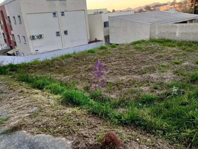 Terreno / Lote para Venda em Quatro Barras/PR Centro