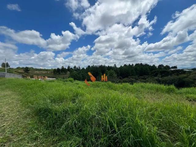 Terreno / Lote para Venda em Quatro Barras/PR Centro