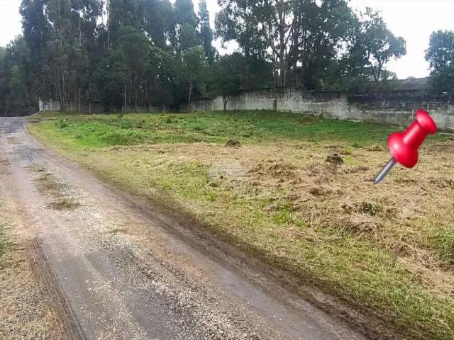 Terreno / Lote para Venda em Quatro Barras/PR Centro