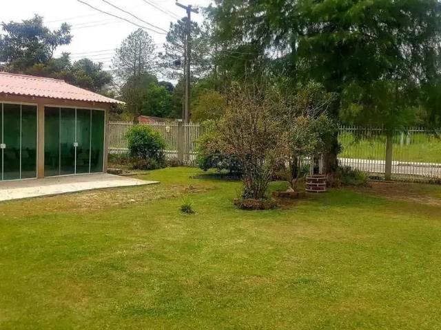 Terreno / Lote para Venda em Quatro Barras/PR Centro
