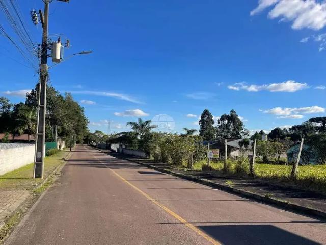 Terreno / Lote para Venda em Quatro Barras/PR Centro