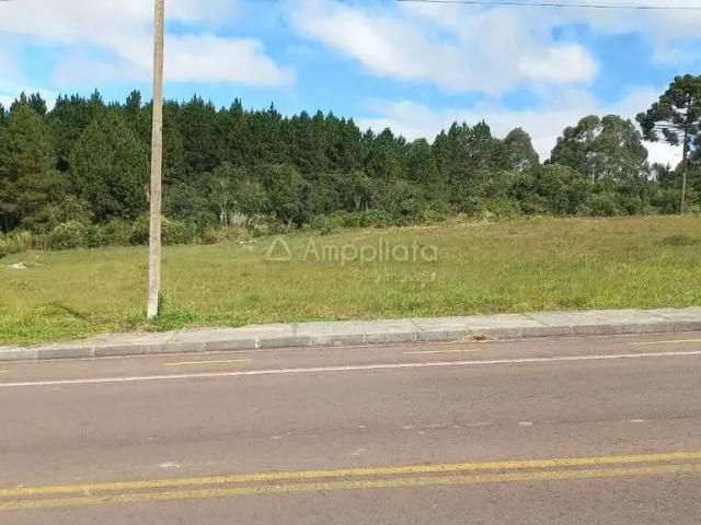 Terreno / Lote para Venda em Quatro Barras/PR Centro