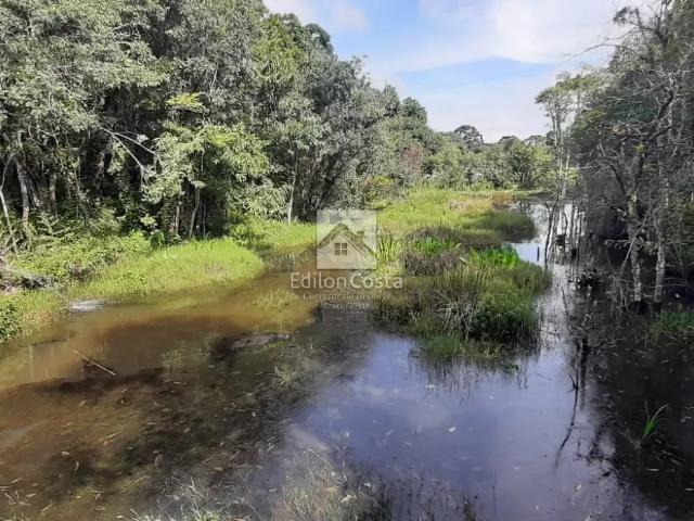 Terreno / Lote para Venda em Quatro Barras/PR Borda do Campo