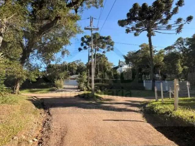 Terreno / Lote para Venda em Quatro Barras/PR Borda do Campo