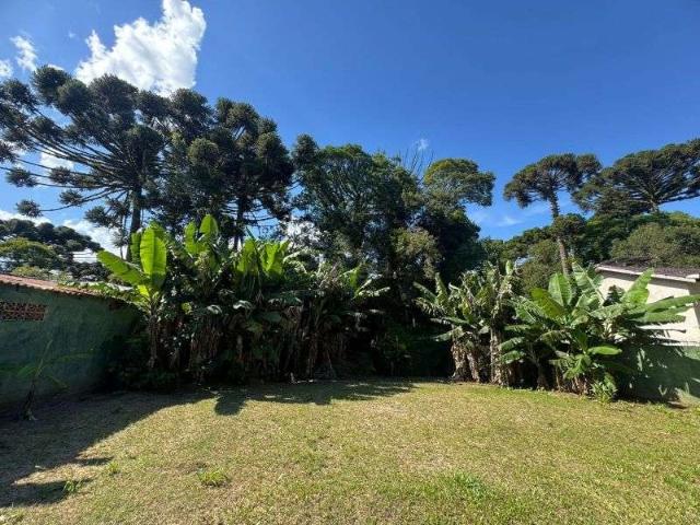 Terreno / Lote para Venda em Quatro Barras/PR Borda do Campo