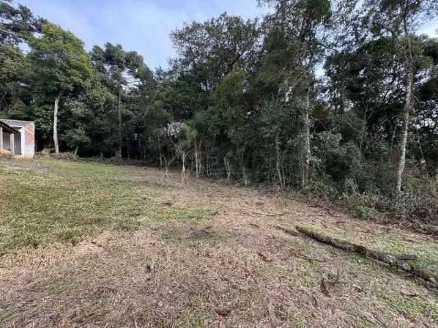 Terreno / Lote para Venda em Quatro Barras/PR Jardim Orestes Thá
