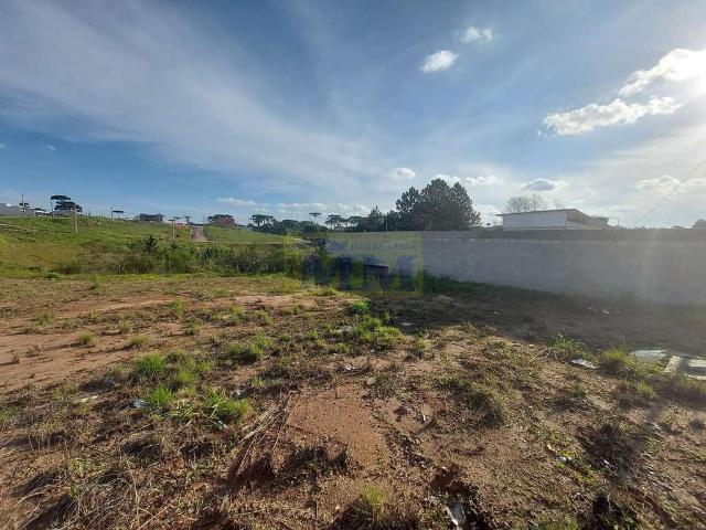 Terreno / Lote para Venda em Quatro Barras/PR Jardim Orestes Thá