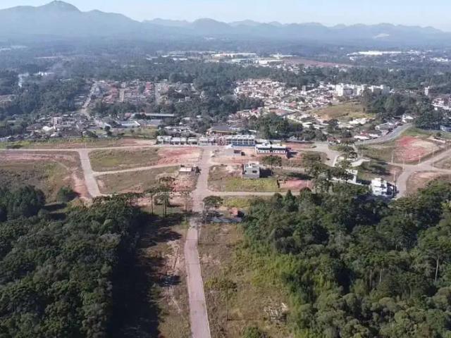 Terreno / Lote para Venda em Quatro Barras/PR Jardim Orestes Thá