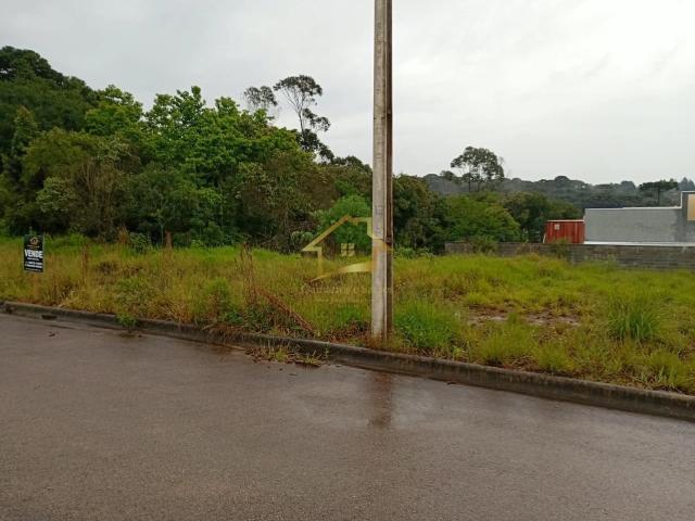 Terreno / Lote para Venda em Quatro Barras/PR Jardim Orestes Thá