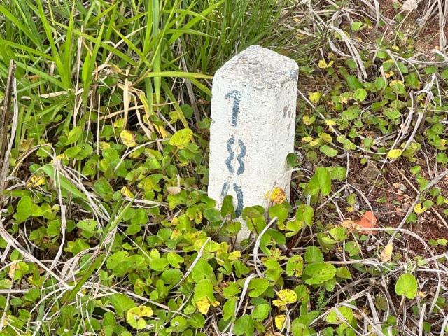 Terreno / Lote para Venda em Quatro Barras/PR Jardim Orestes Thá