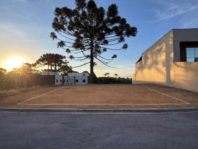 Terreno / Lote para Venda em Quatro Barras/PR Jardim Orestes Thá