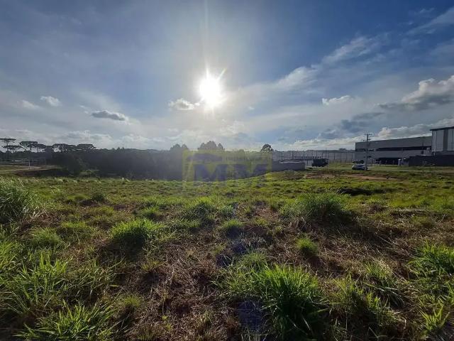 Terreno / Lote para Venda em Quatro Barras/PR Jardim Orestes Thá
