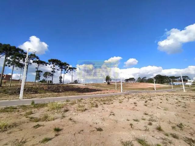 Terreno / Lote para Venda em Quatro Barras/PR Jardim Orestes Thá