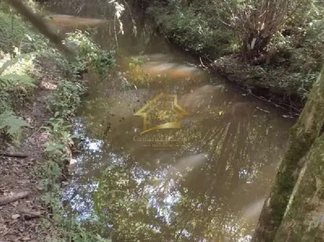 Terreno / Lote para Venda em Quatro Barras/PR Jardim das Acácias