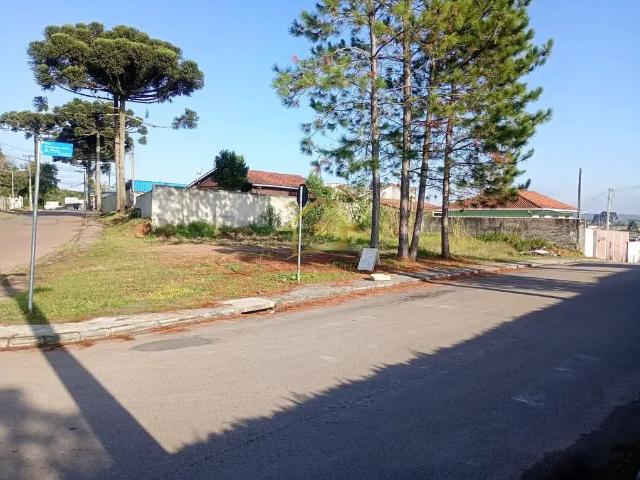 Terreno / Lote para Venda em Quatro Barras/PR Jardim Pinheiros